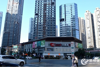 长沙凤凰海购物城-商业综合体电表改造案例